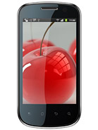 Best available price of Celkon A19 in Estonia