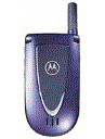 Best available price of Motorola V66i in Estonia
